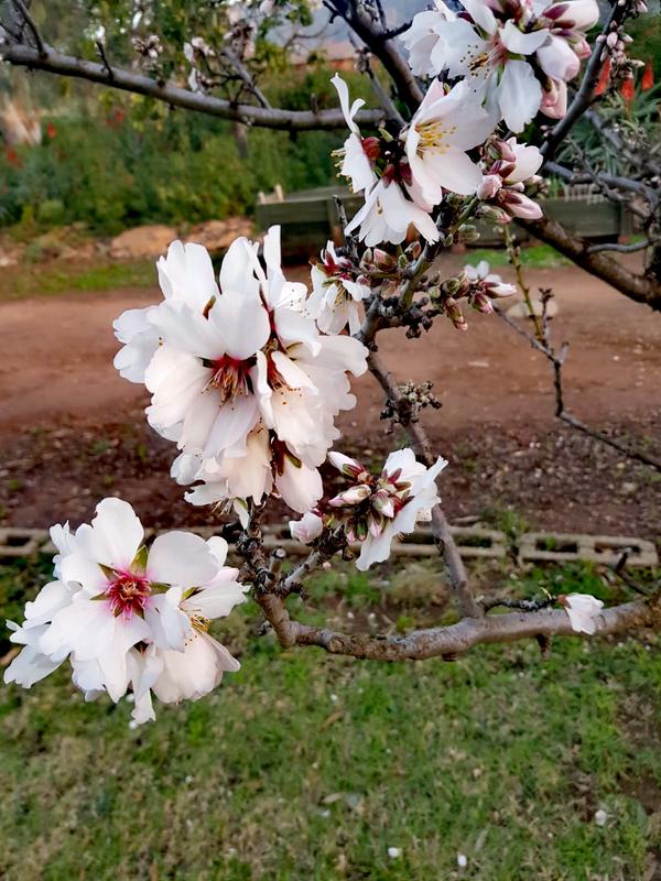 10 Bedroom Property for Sale in Montagu Western Cape